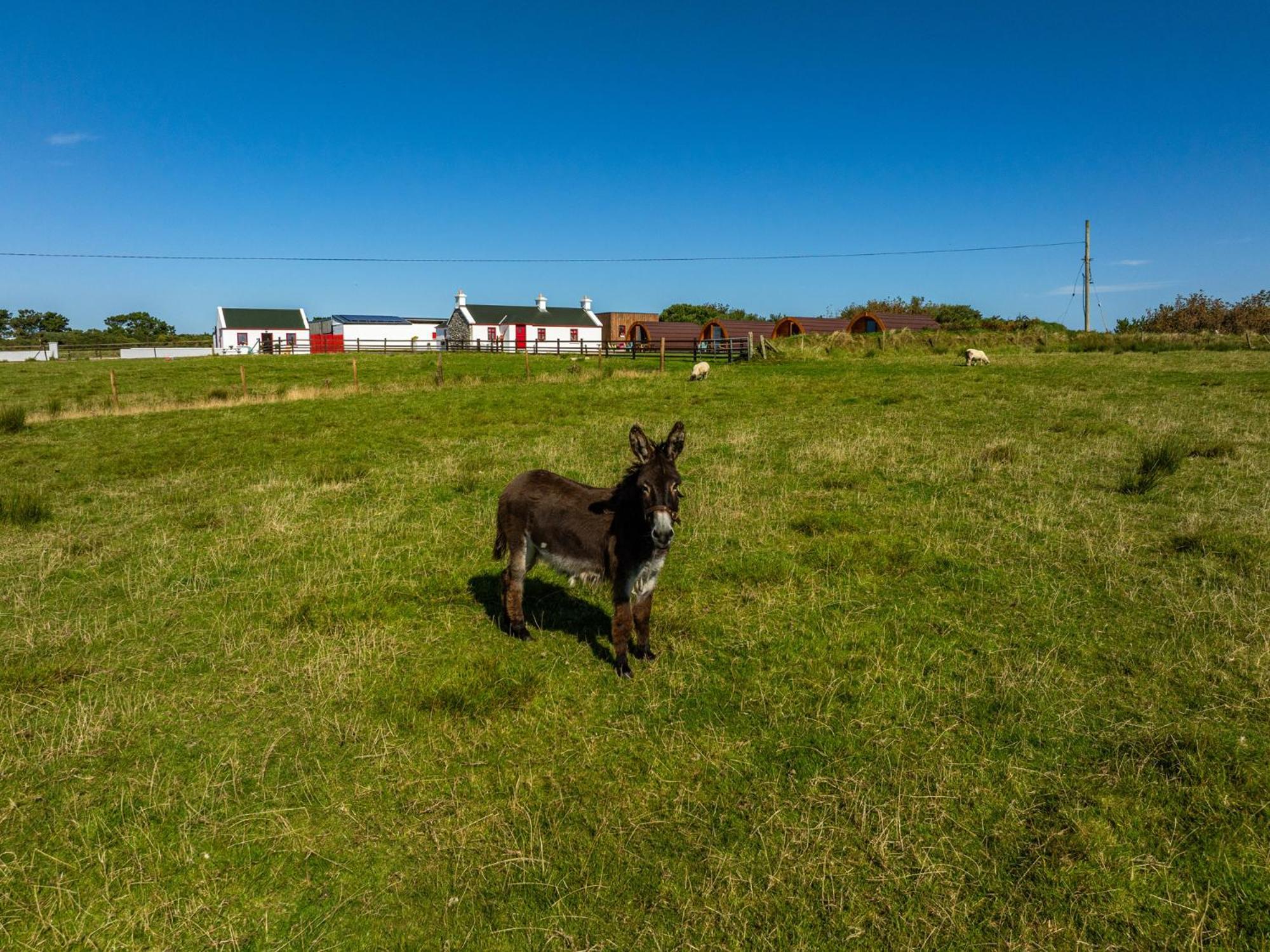 Geraghtys Farmyard Pods Hotel Belmullet Bagian luar foto